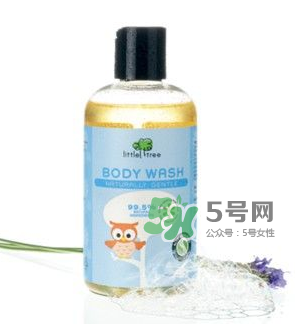 英國小樹苗英國沒有嗎？英國小樹苗官網(wǎng)地址是什么