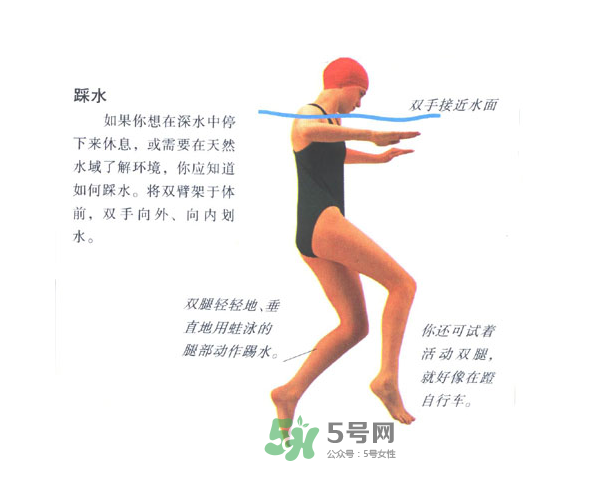游泳怎么踩水？游泳踩水技巧圖解