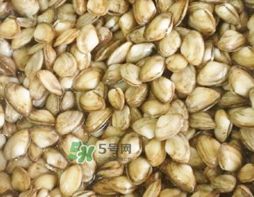 海瓜子怎么做好吃？海瓜子怎么清洗
