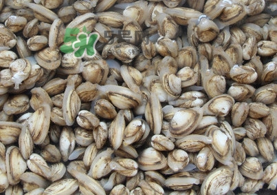 海瓜子煮多久能熟？海瓜子為什么放在水里殼不張開(kāi)