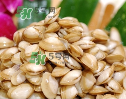 海瓜子怎么養(yǎng)？如何挑選海瓜子