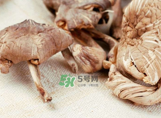 雞樅菌怎么讀？雞樅菌怎么做好吃？