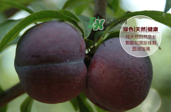 黑布林什么時候吃最好？黑布林什么人不能吃？