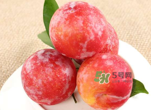 紅布林孕婦可以吃嗎？孕婦可以吃紅布林嗎？