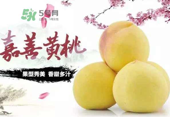 嘉善黃桃多少錢一斤？嘉善黃桃的上市時間