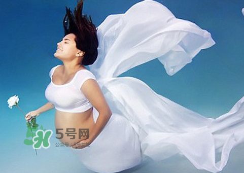 家里有寵物狗對(duì)孕婦好嗎？懷孕了家里有寵物要緊嗎？