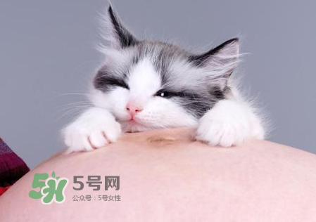 孕婦被貓抓了怎么辦？孕婦被貓抓傷了對寶寶有什么影響？