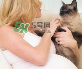 孕婦被貓抓了怎么辦？孕婦被貓抓傷了對寶寶有什么影響？