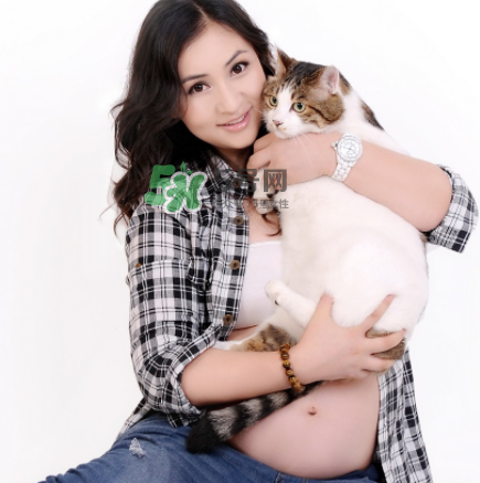 孕婦被貓抓了怎么辦？孕婦被貓抓傷了對寶寶有什么影響？