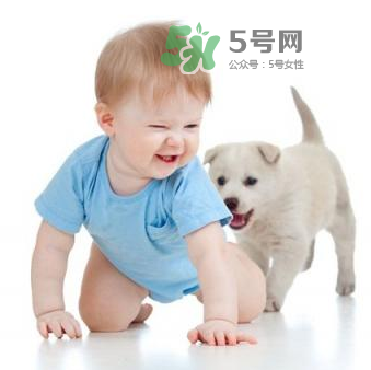 寵物對(duì)嬰兒的影響 寵物對(duì)嬰兒的危害有哪些？
