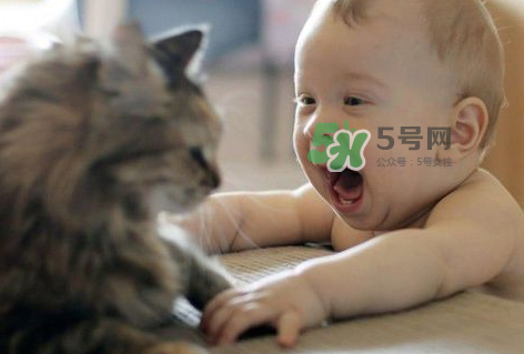 嬰兒被貓抓了怎么辦？嬰兒被貓咪咬了怎么辦？