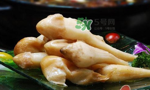 雞樅菌什么時候有？雞樅菌生長在什么地方