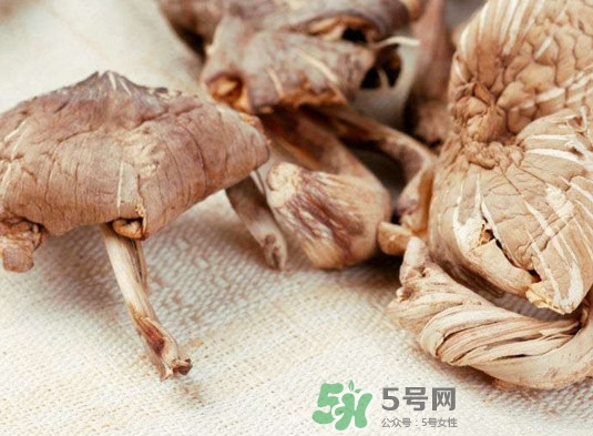 雞樅菌有毒嗎？雞樅菌不能和什么一起吃？