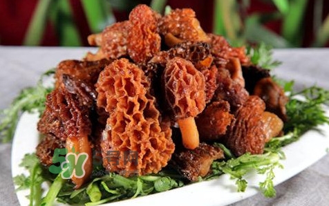 羊肚菌生長(zhǎng)在什么地方？羊肚菌同什么煲湯最好