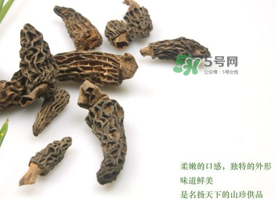 野生羊肚菌多少錢(qián)一斤？干羊肚菌多少錢(qián)一斤