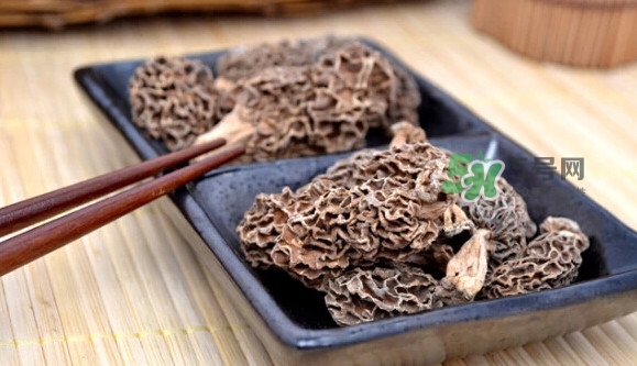 羊肚菌可以泡水喝嗎？羊肚菌可以燉鴿子嗎