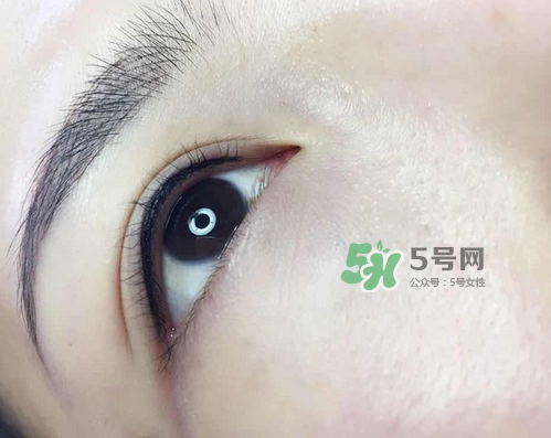 美瞳線有幾種款式？美瞳線有小尾巴嗎？