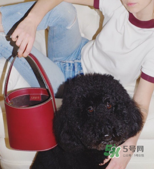staud水桶包多少錢？staud水桶包專柜價(jià)格