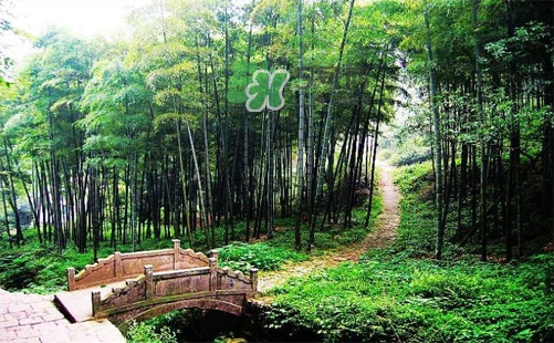 夏天去哪里旅游最好？夏天旅游哪里涼快？