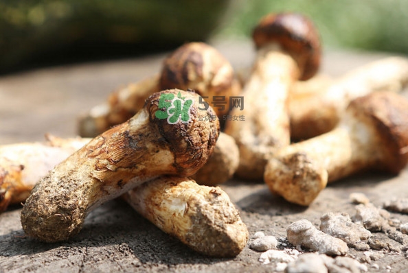 新鮮松茸怎么吃？松茸怎么吃最有營養(yǎng)