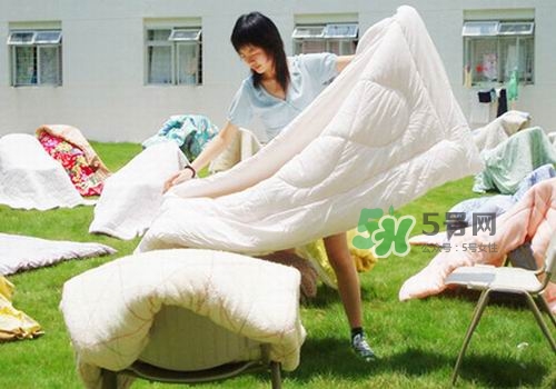三伏天能曬被子嗎？三伏天曬被子好嗎？