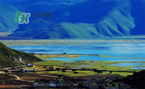 夏天去哪里旅游最好？夏天旅游哪里涼快？