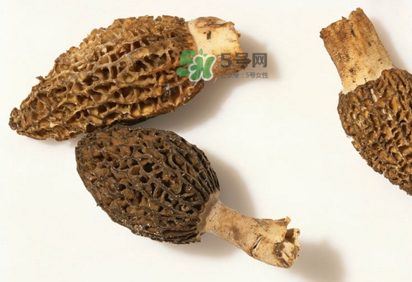 羊肚菌可以泡茶喝嗎？羊肚菌可以生吃嗎