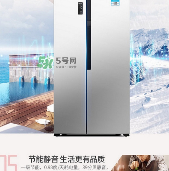 冰箱究竟該買幾個(gè)門的？什么牌子的冰箱最好