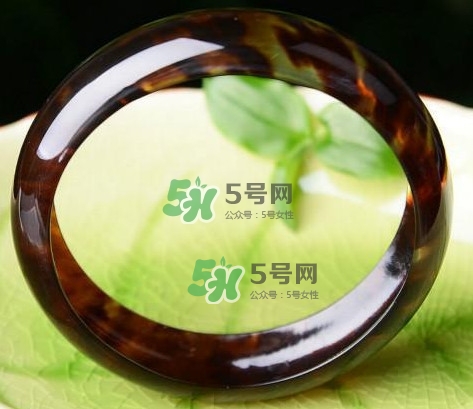 玳瑁是什么？玳瑁是國(guó)家保護(hù)動(dòng)物嗎？