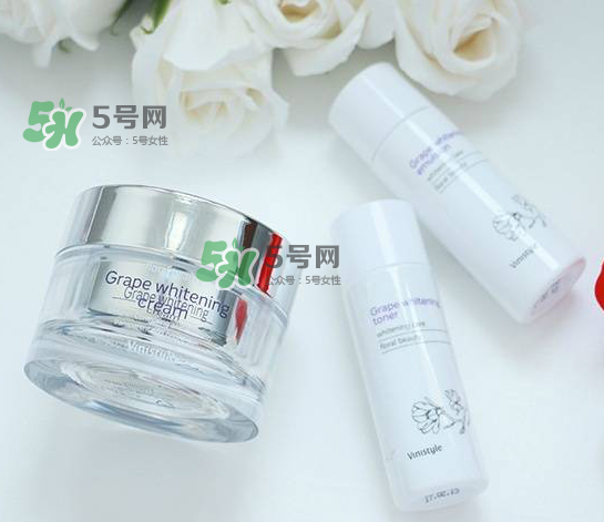 vinistyle是什么檔次？vinistyle怎么樣？