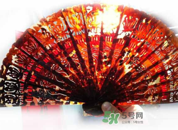 玳瑁怎么辨別真假？玳瑁可以沾水嗎