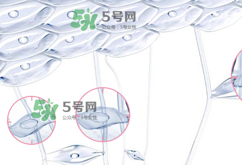 嬌韻詩青春賦活兩件套裝多少錢？嬌韻詩全新青春賦活系列怎么樣？