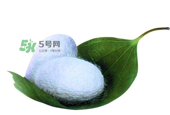 蠶繭多少錢一斤2017？2017年蠶繭價格是多少？