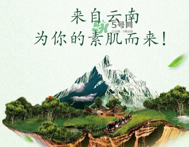 采之汲是什么牌子？采之汲是什么檔次？