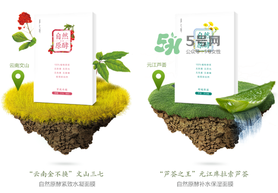 采之汲自然原酵面膜怎么用？采之汲自然原酵面膜使用心得