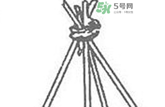 缸豆什么時候搭架？缸豆要怎樣搭架子