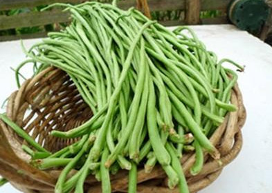 缸豆可以包餃子嗎？缸豆能放冰箱嗎