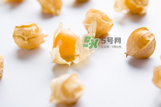 菇娘是寒性還是熱性？菇娘是哪里產(chǎn)的