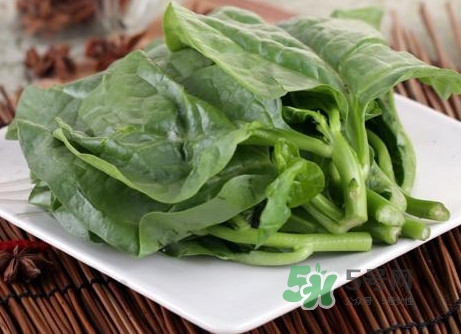 木耳菜和什么食物相克？木耳菜不能和什么一起吃