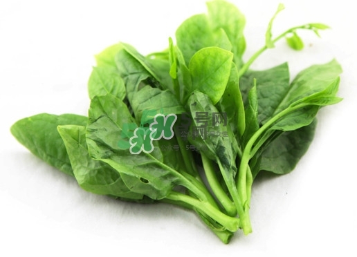 木耳菜怎么清洗？木耳菜怎么擇？