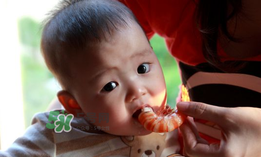 寶寶吃蝦不能和什么一起吃？寶寶吃蝦的注意事項(xiàng)
