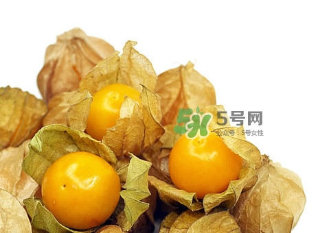 姑娘果怎么挑選？姑娘果產(chǎn)地在什么地方