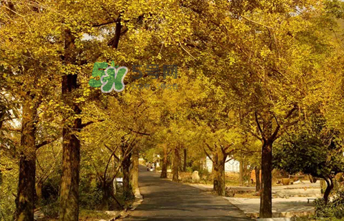 9月份去浙江穿什么？九月份去浙江穿什么衣服