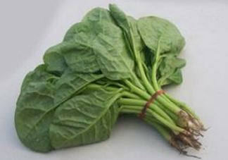 木耳菜怎么清洗？木耳菜怎么擇？