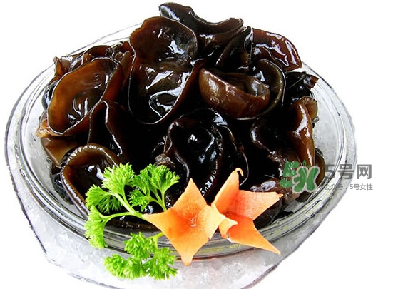 木耳菜是什么季節(jié)的菜？木耳和木耳菜有區(qū)別嗎