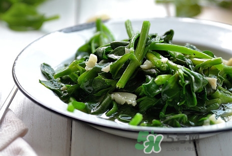 木耳菜可以生吃嗎？木耳菜可以涼拌嗎