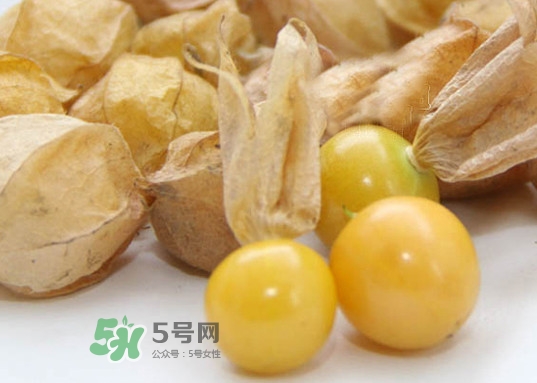 黃菇娘幾月種植？黃菇娘的種植注意事項