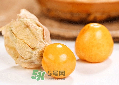 菇娘不能和什么一起吃？紅菇娘泡水喝有什么好處