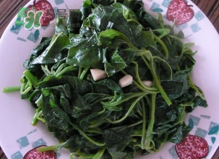 野莧菜有毒嗎？野莧菜怎么吃