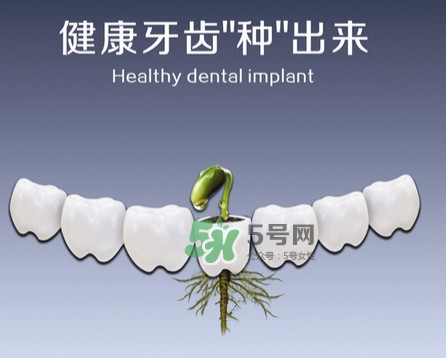 種植牙費用多少錢？國產種植牙價格